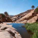 Les merveilles naturelles de Fuerteventura : les 9 meilleures piscines et lagons pour un plongeon inoubliable